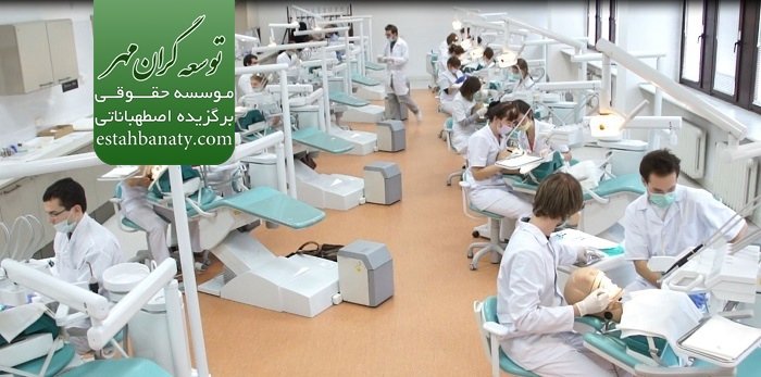 آموزش پزشکی و دندانپزشکی در کرواسی